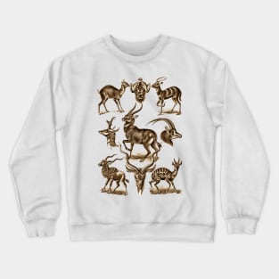 Ernst Haeckel Antilopina Antelope Crewneck Sweatshirt